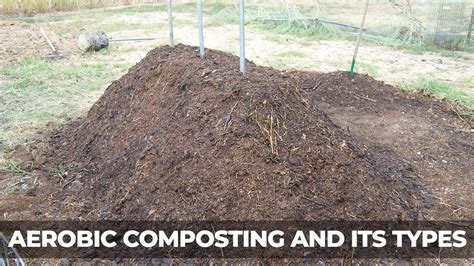 Types of Aerobic Composting and Their Benefits – TrustBasket