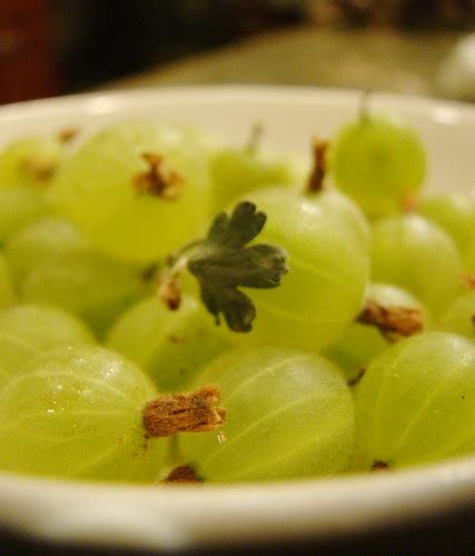 Gooseberries | Wonder what I am going to do with these.... | Vegan ...