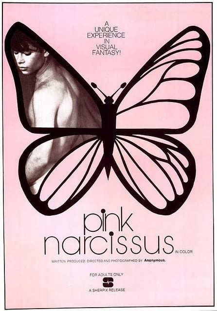 Pink Narcissus James Bidgood Narcissus Film Posters Art