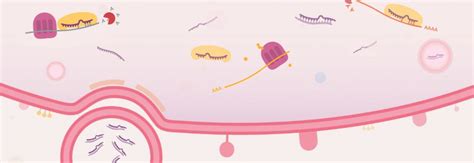 Infographic: What is RNAi Therapy? Targeting the Untargetable