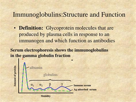 SOLUTION: Immunoglobulin structure and functions - Studypool