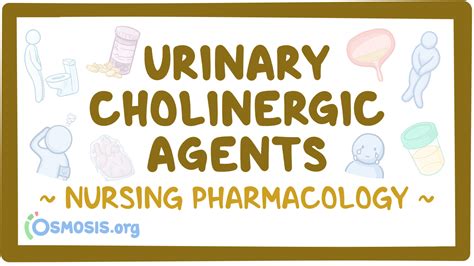 Cholinergic Therapy Gu Nursing Pharmacology Video Causes