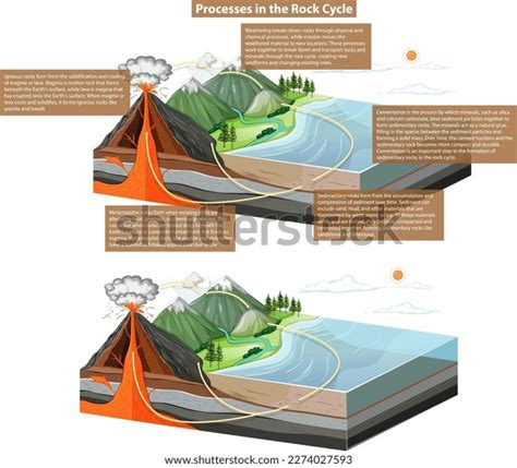 Rock Cycle Processes Diagram Illustration Stock Vector (Royalty Free ...