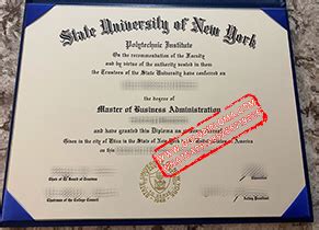 Where To Buy State University Of New York Purchase College Fake Diploma