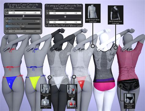 DForce Dynamic Wet Tshirt Bikini And Briefs For Genesis 9 Daz 3D