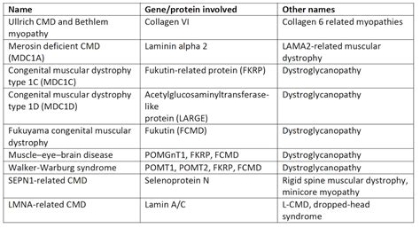 Congenital Muscular Dystrophy