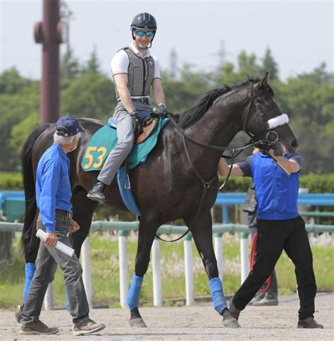 【pog】コマンドライン雄大な馬体 悲願ダービー制覇へ国枝厩舎から超逸材が登場競馬・レースデイリースポーツ Online