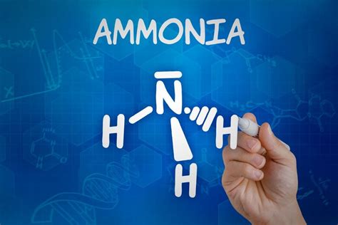 Is Ammonia An Acid Or Base? » ScienceABC