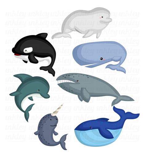 Whale Breeds Clipart Cute Whale Clip Art Fish And Sea Creatures | The ...