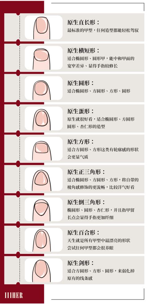 美甲甲型五种分类图 美甲甲型的五种形状 3 配图网