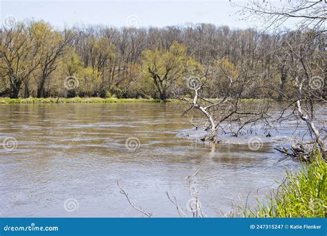 Paisagem Fluvial Do Wapsi Em Iowa Imagem De Stock Imagem De Exterior