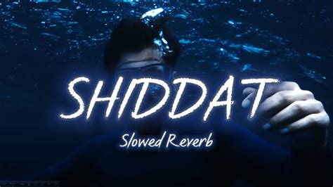 Shiddat Song Slowed Reverb Sunny Kaushal Radhika Madan Mohit