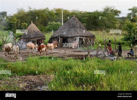 Nuer Tribe Hi Res Stock Photography And Images Alamy