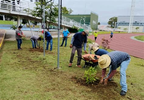 Realiza Secretaría De Administración Campaña De Reforestación En Los