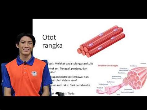 SISTEM OTOT SAINS SUKAN STPM YouTube