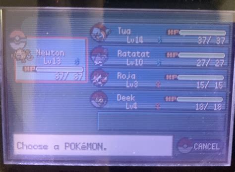 Strokes Hardcore Generationlocke Leafgreen 2 Leg I R Nuzlocke
