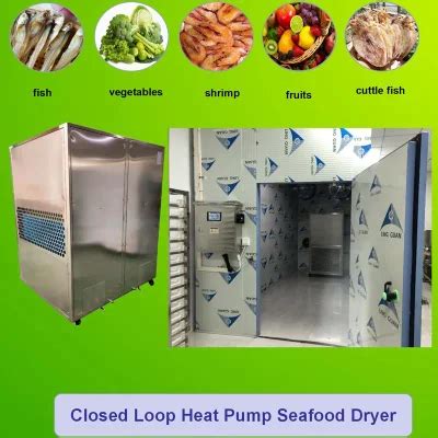 Big Capacity Intelligent PLC Control Fruit Dryer Hot Air Seafood Dehydrator Cassava Food Shrimp
