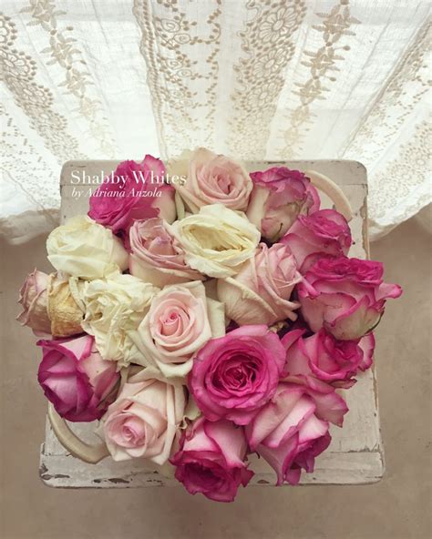 Roses To Brighten Up The Day Shabby Chic Antiques Pretty Roses