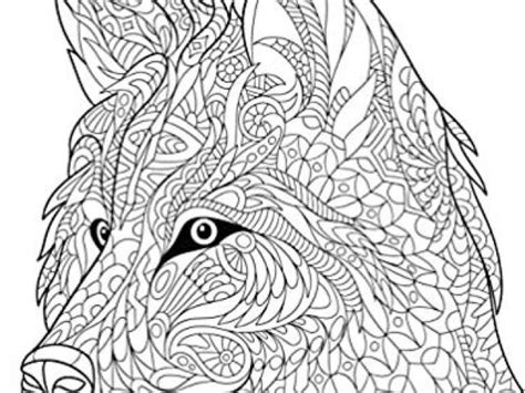 Album De Coloriage Pour Adulte Amazon Livre De Coloriage Pour Adultes