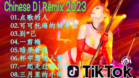 2023年最新dj歌曲♪最好的音樂chinese Dj【点歌的人 可可托海的牧羊人 别知己 🎧10首精选歌曲 超好听👍2023年6月最热