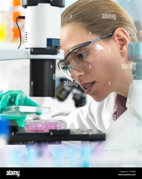 Cell Research Scientist Placing A Multi Well Plate Under The