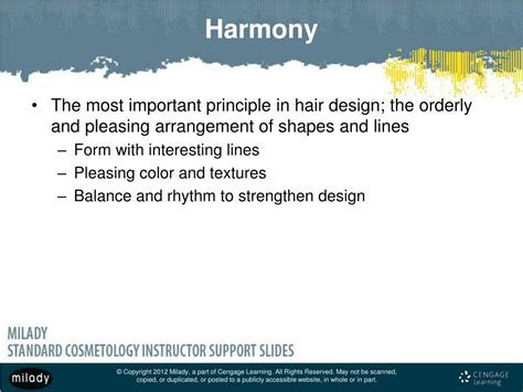 Ppt Chapter 14 Principles Of Hair Design Powerpoint Presentation