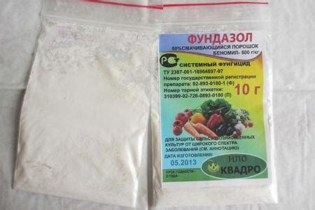 Фунгицид Фундазол: описание и инструкция по применению
