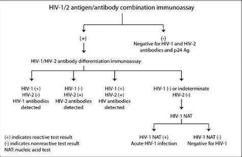 Centers For Disease Control And Prevention Hiv Testing Algorithm