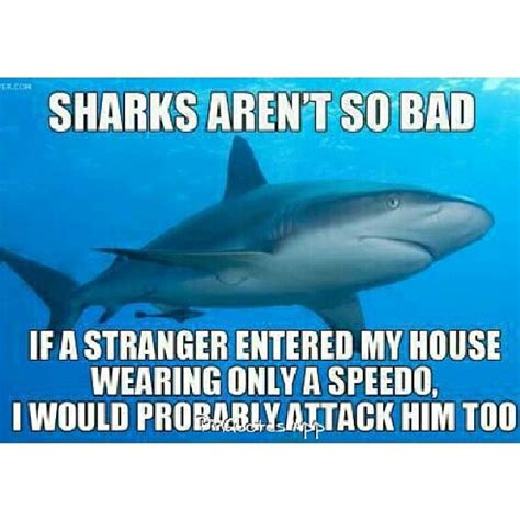 Quotes About Sharks. QuotesGram