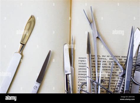 Dissecting Forceps Hi Res Stock Photography And Images Alamy