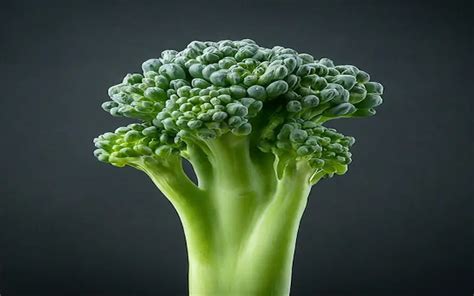 4 Broccoli Growing Stages: A Comprehensive Guide 2024