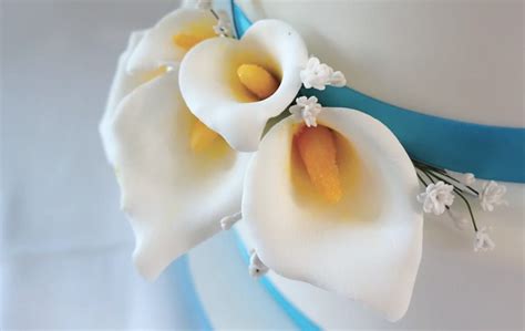 Pin On Cake Decorating Techniques Flowers