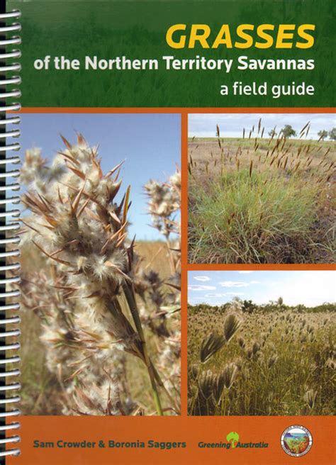 Grasses Of The Northern Territory Savannas A Field Guide Nokomis