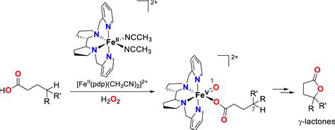 Intramolecular C H Oxidation In Iron V Oxo Carboxylato Species