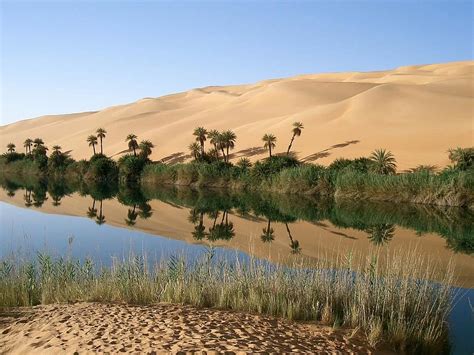 oasis, libya, lake, rest, mirroring, desert, nature, bank, water