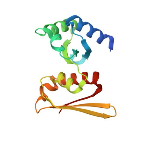 Rcsb Pdb Cxc Crystal Structure Of Archaeal Transcription