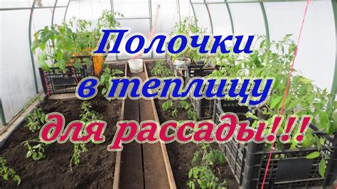 ДЕЛАЕМ ПРОСТЕЙШИЕ ПОЛОЧКИ в ПОЛИКАРБОНАТНУЮ ТЕПЛИЦУ для РАССАДЫ. СУПЕР ...