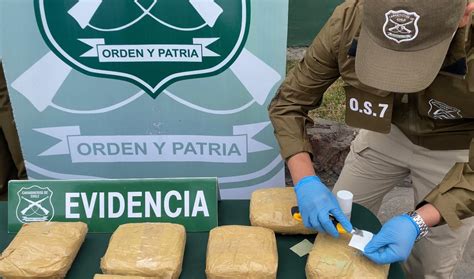 Carabineros Incauta Droga Avaluada En Millones De Pesos En Ruta