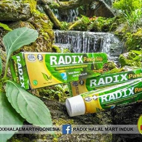 Jual Pasta Gigi Radix Atau Odol Radix Atau Pasta Gigi Atau Obat Sakit