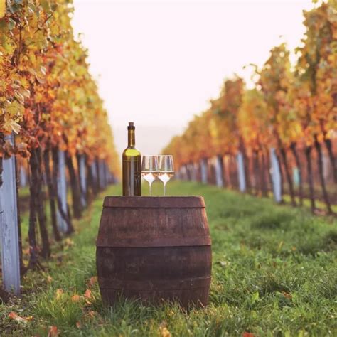 24 Best Maryland Wineries And Vineyards To Visit 2024 Wanderdc