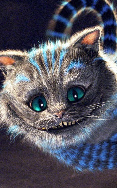 wallpapers3d.info | Cheshire cat alice in wonderland, Alice in ...