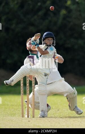 Boy playing cricket batting on white background - MR#494 Stock Photo ...