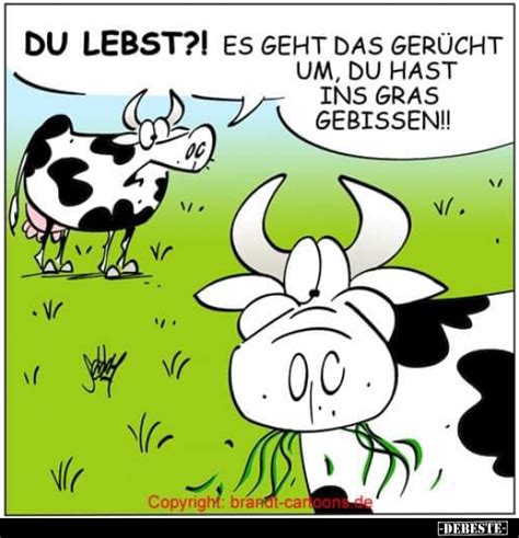 Du lebst Es geht das Gerücht um du hast ins Gras gebissen DEBESTE de