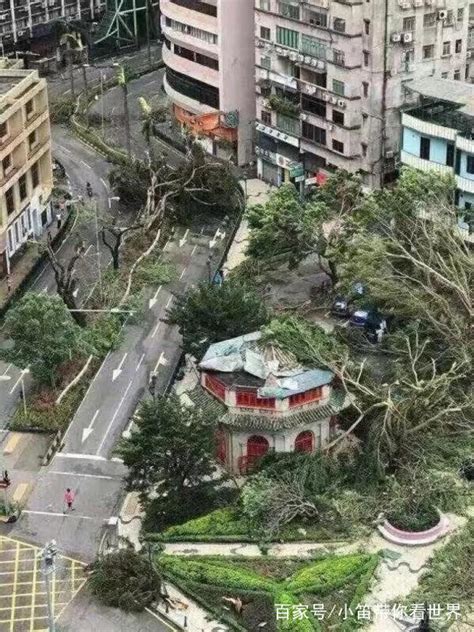 惨烈！台风山竹登陆已致2人死亡，破坏力超强损失或超1000亿财经头条