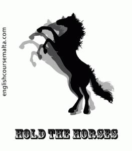 IDIOM – HOLD YOUR HORSES - English Course Malta