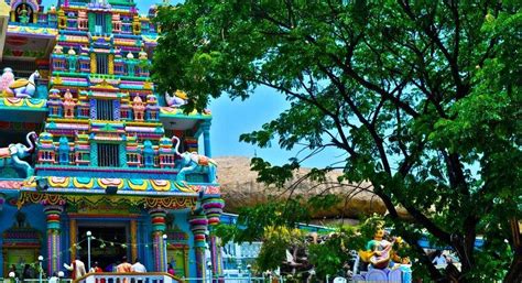 Wargal Saraswati Temple - One day trip from Hyderabad