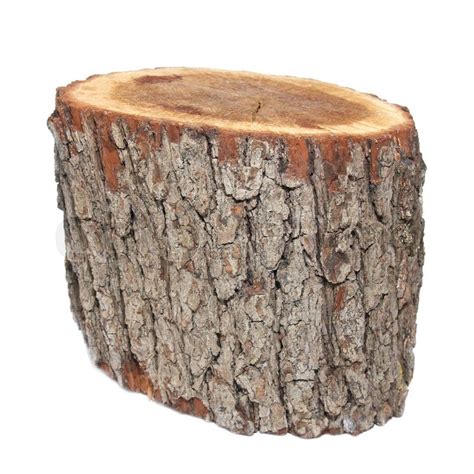 Wooden Stump Isolated On The White Stock Image Colourbox