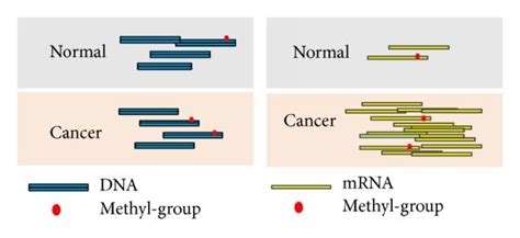 Comparison Of The Differential Methylation Analysis In Dna And Rna The