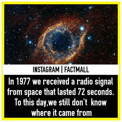 an image with the words instagramm factmall in front of a photo of a