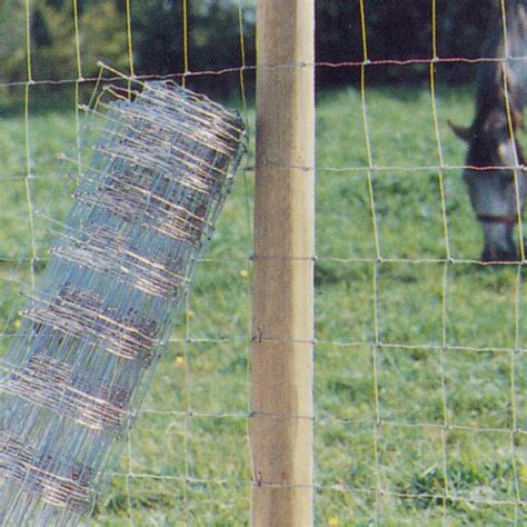 Des Poules Chez Soi Rona Lacolle